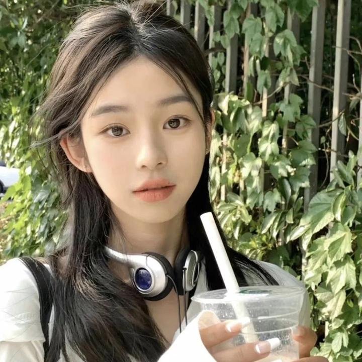 最后的圣殿骑士